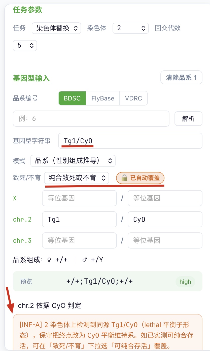 2 号维持系形态示例:Tg1/CyO 输入后 INF-A 命中